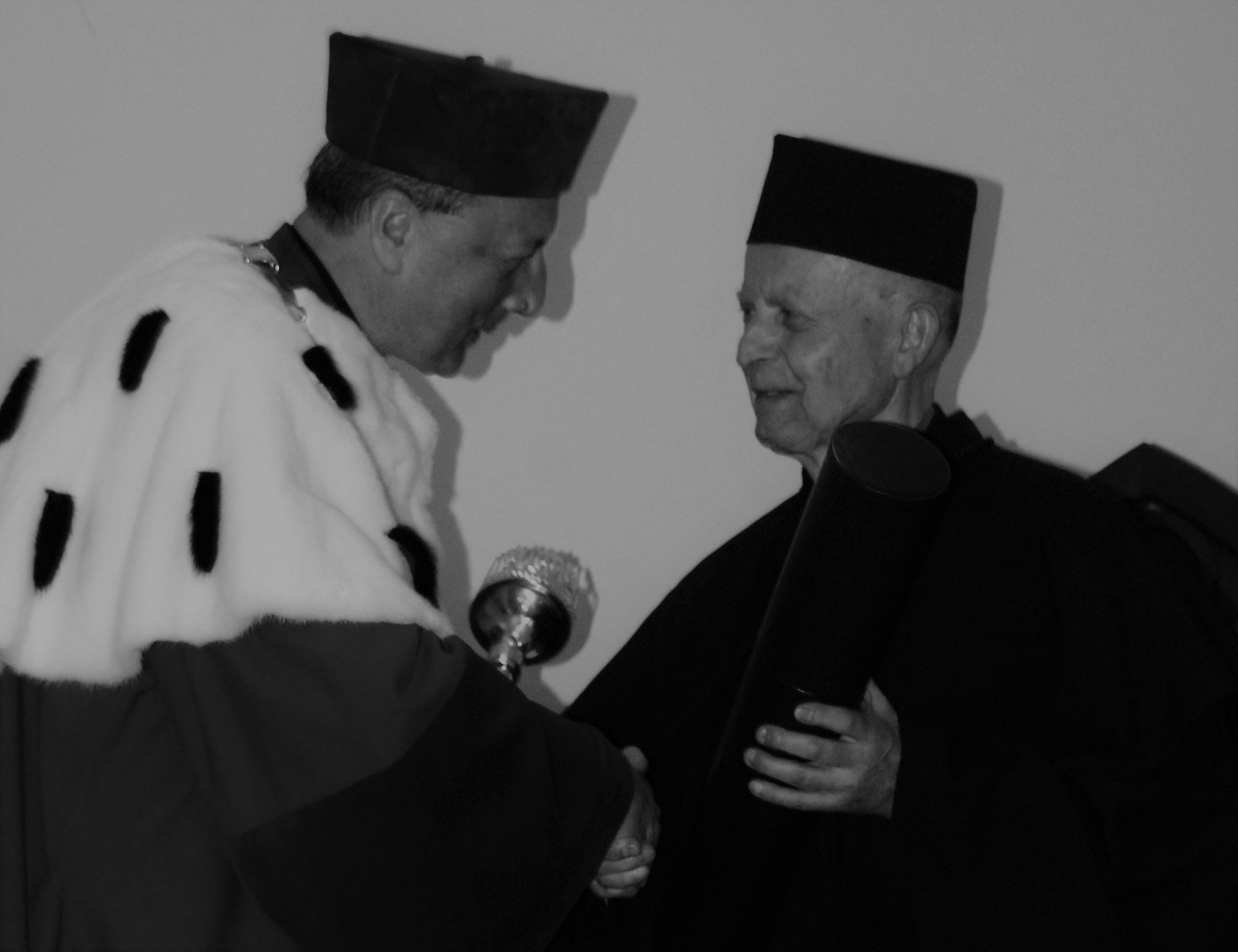 dhc_czerwika_2012_r_.jpg